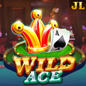 Wild Ace slot at winph777 login password